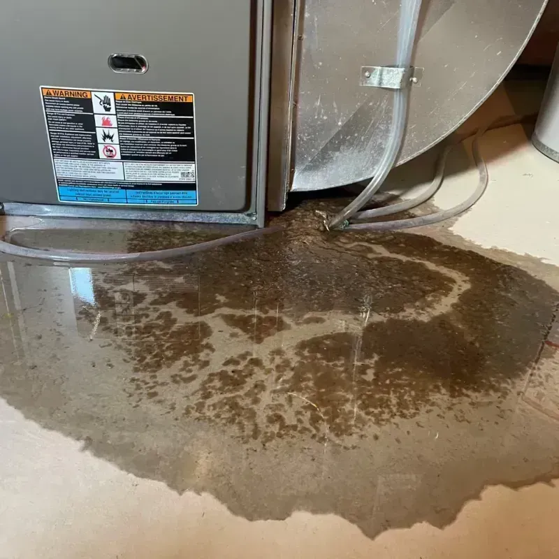 Appliance Leak Cleanup in Worth, IL